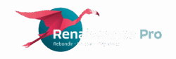Logo Renaissance pro, bilan de competences à beziers